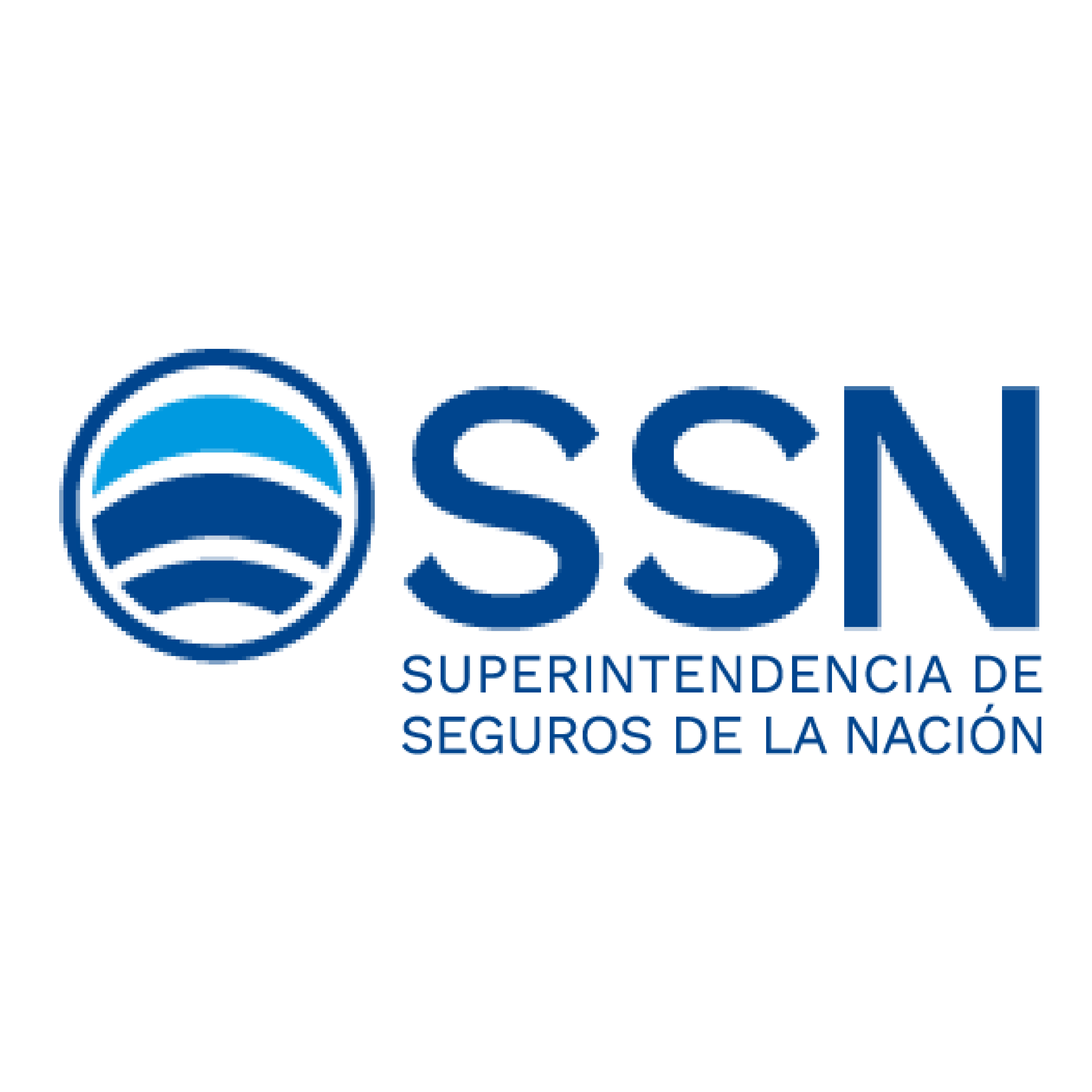 logo ssn color